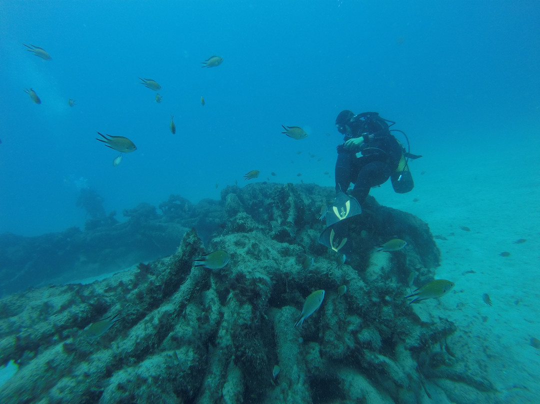 Museo Atlántico Underwater Museum景点图片