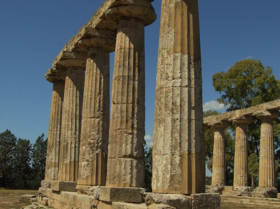 Museo Archeologico Nazionale di Metaponto景点图片