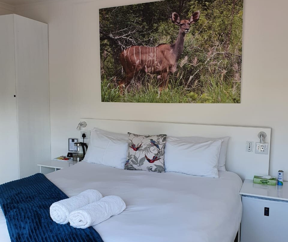 Thelab Robertson主图