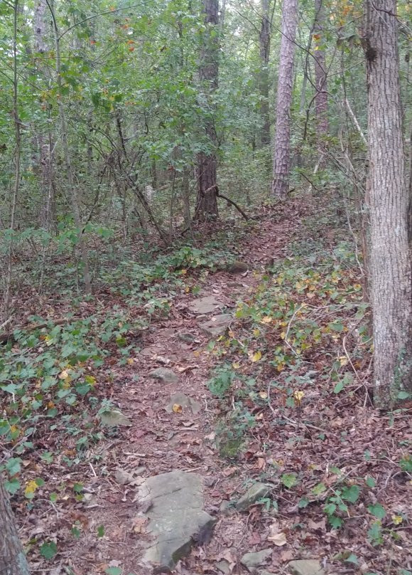 High Falls Park-Geraldine必去景点