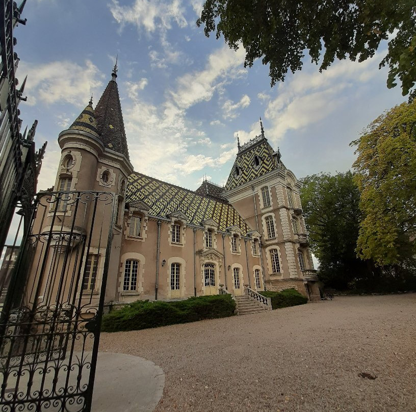 Château Corton C.景点图片