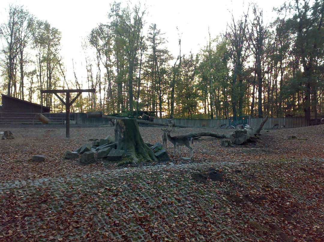 Tiergarten Straubing-Straubing必去景点