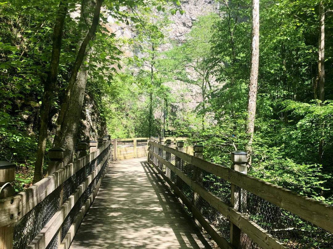 Natural Tunnel State Park景点图片