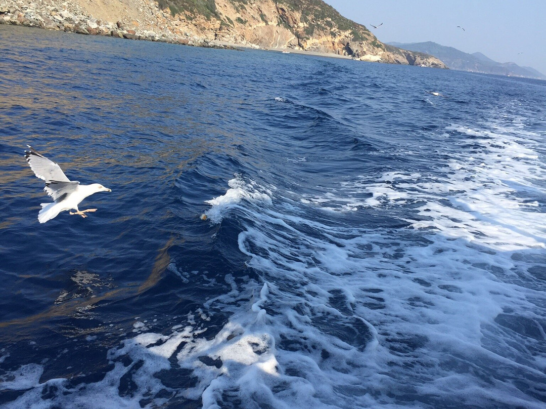 Il Dollaro II-Porto Azzurro必去景点