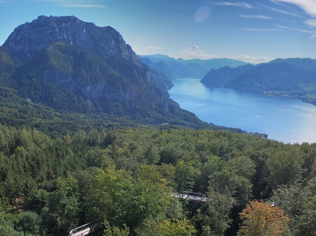 Baumwipfelpfad Salzkammergut-葛姆登必去景点