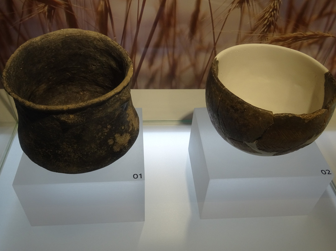 Museu Terras de Besteiros景点图片