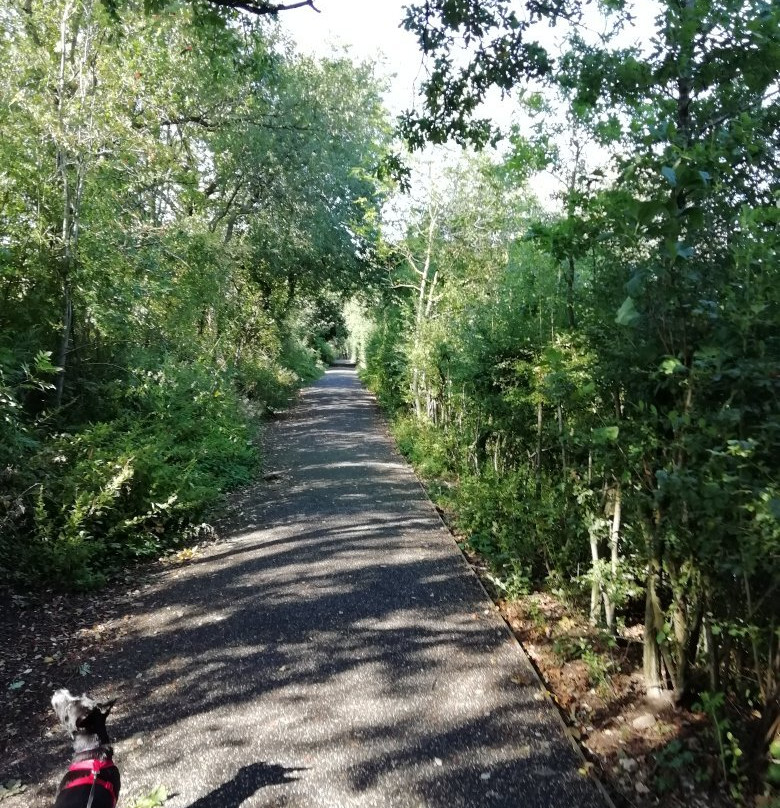 Blackleach Country Park景点图片