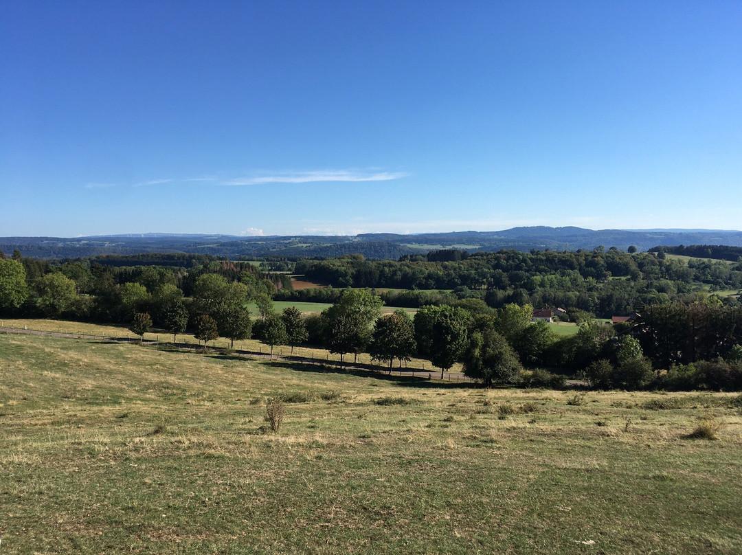 Hotel Au Lion de Belfort主图