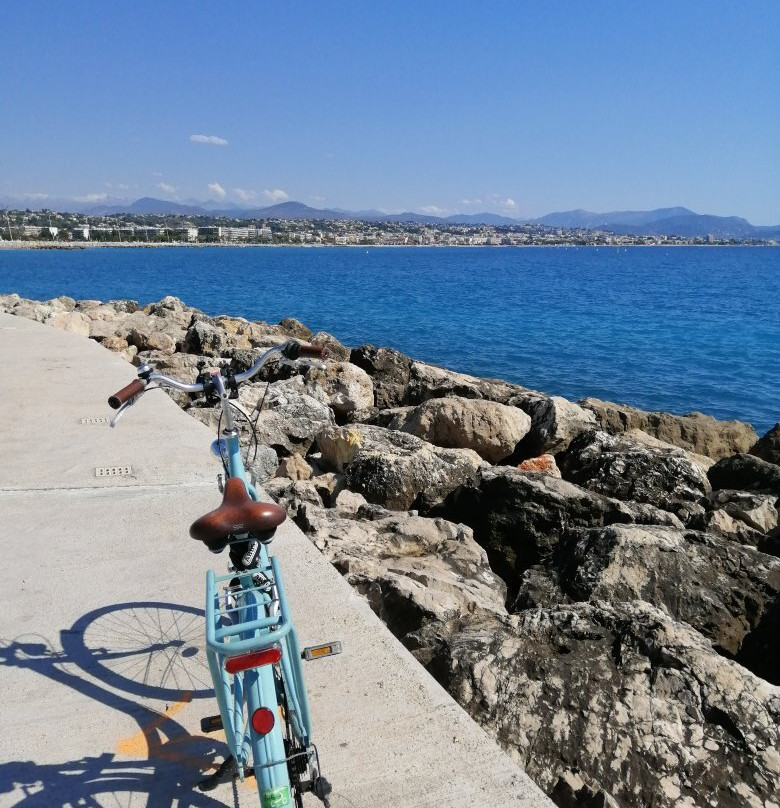 Booking Bikes Antibes景点图片