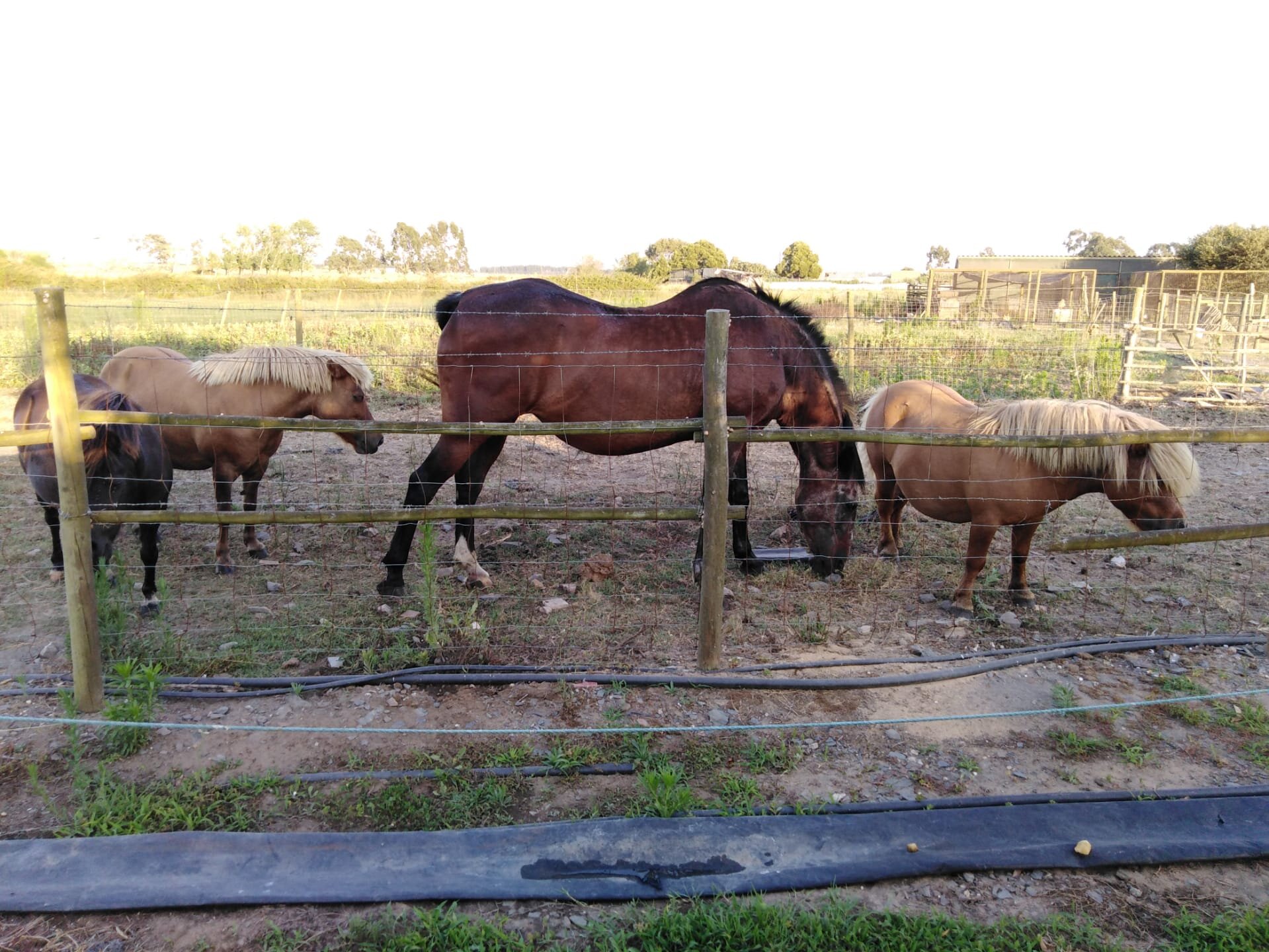 Monte do Zeca-酒店景观