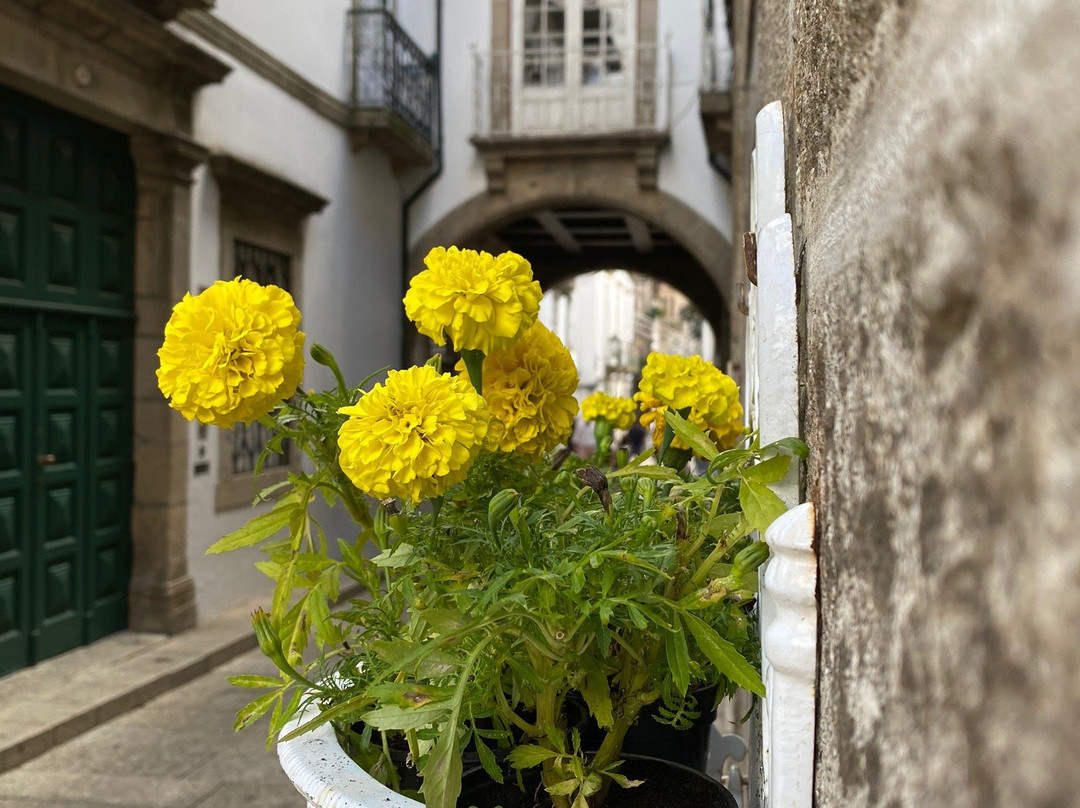 Rua de Santa Maria景点图片