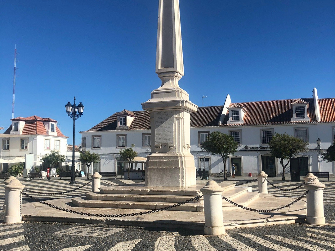 Praca Marques de Pombal景点图片