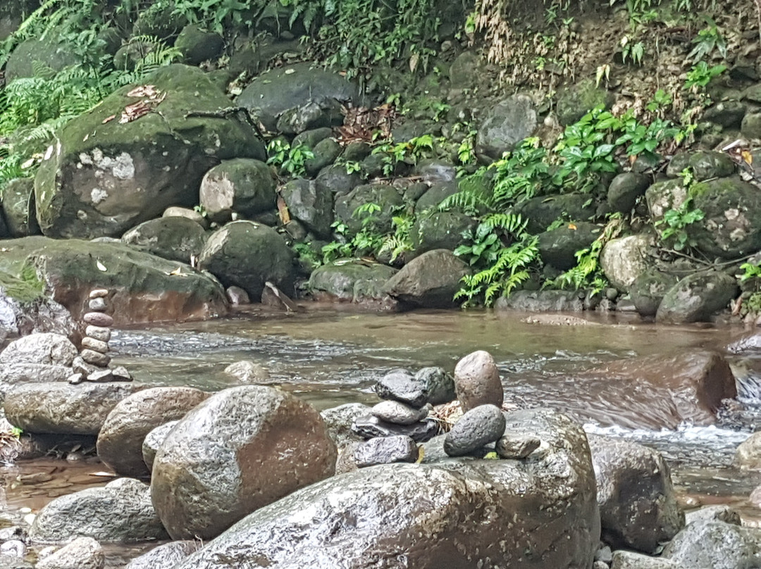 Le Relais de la Maison Rousse主图