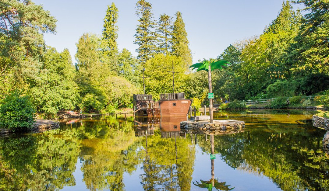 River Dart Country Park景点图片