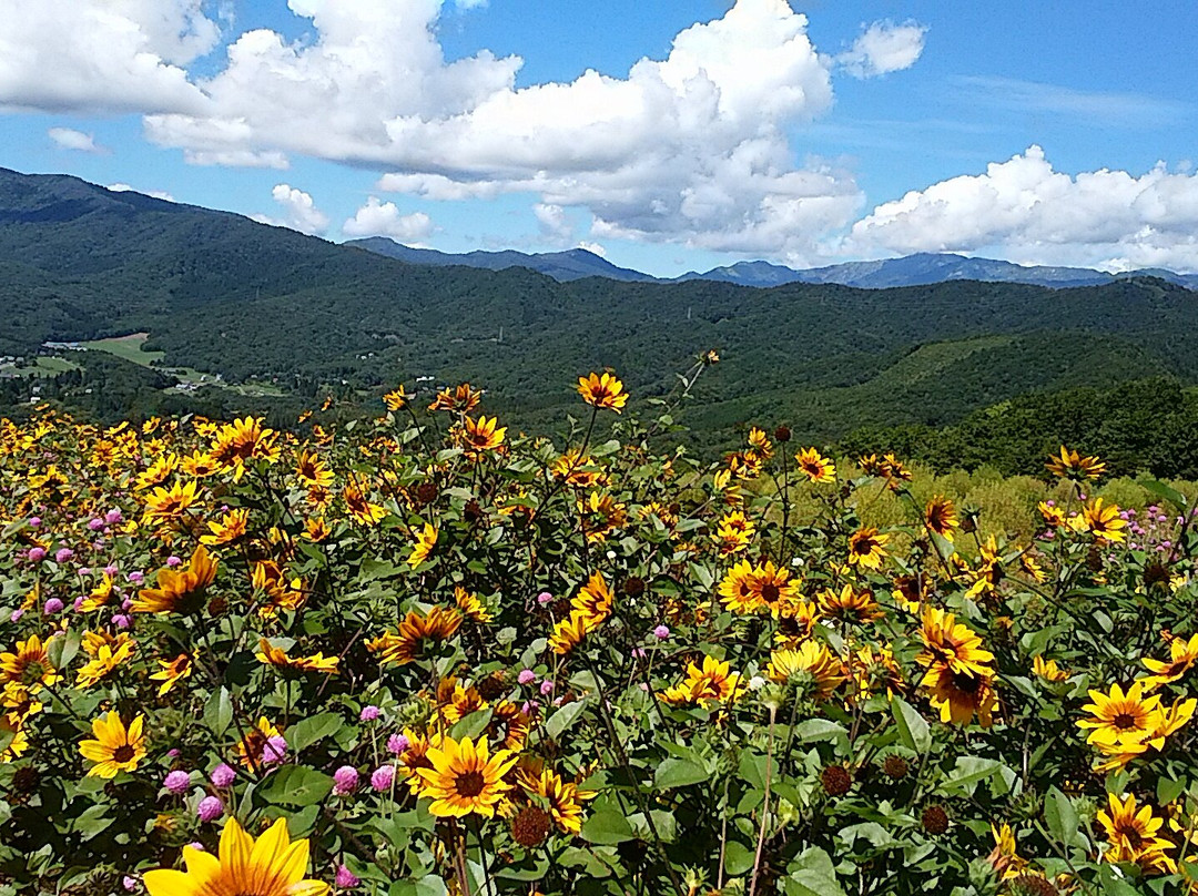 Hirugano Kogen Ski Areas-郡上市必去景点
