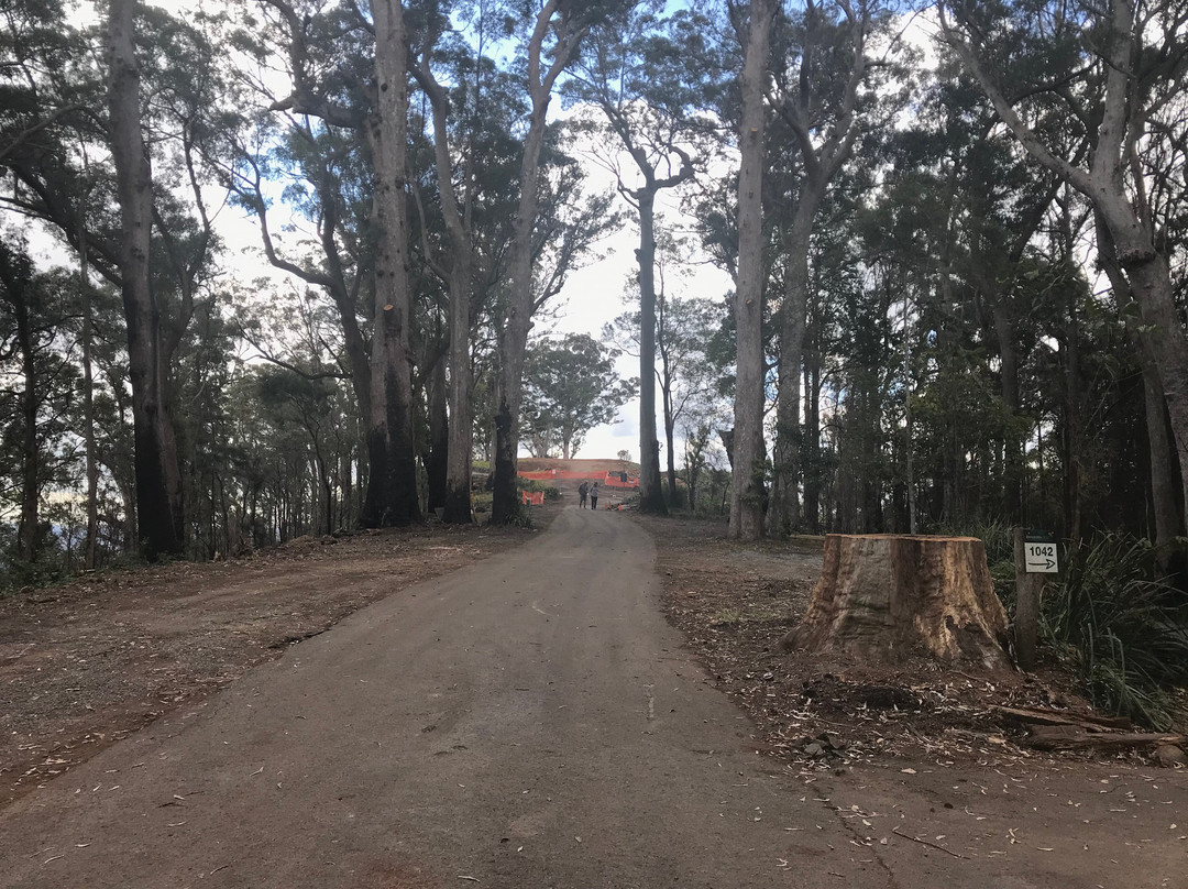 Lamington National Park景点图片
