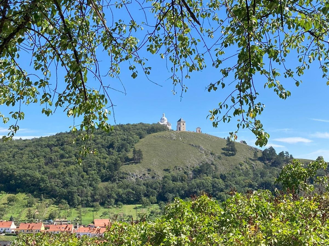 Kozi Hradek - Mikulov-米库洛夫必去景点