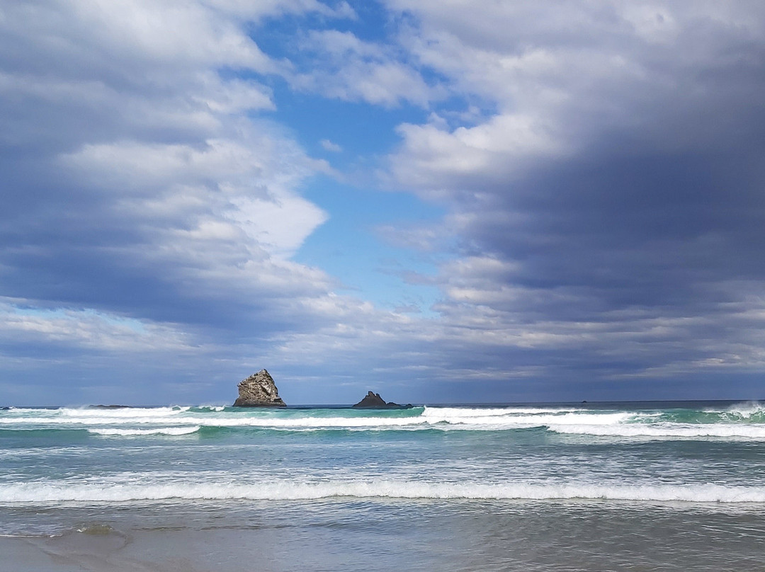 Sandfly Bay Track-但尼丁必去景点