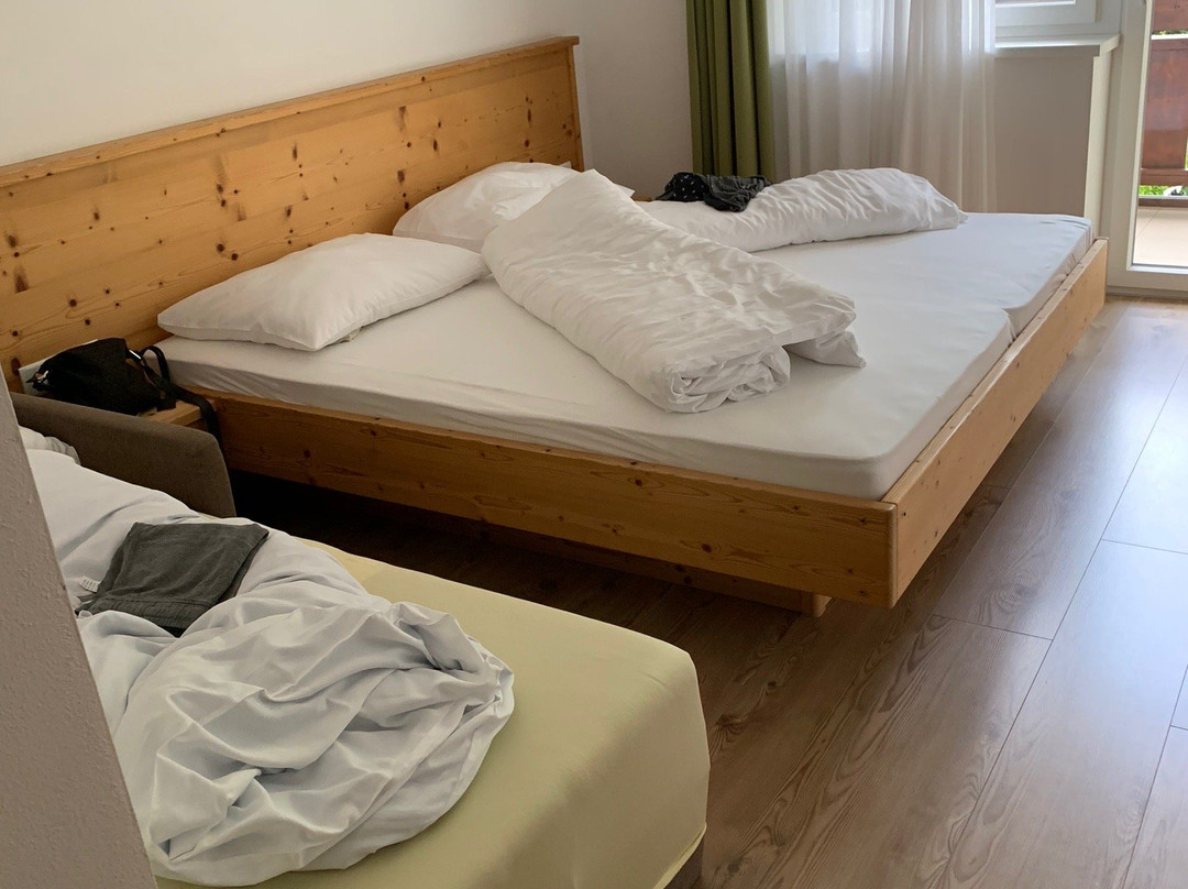 Family Hotel Stegerhaus主图