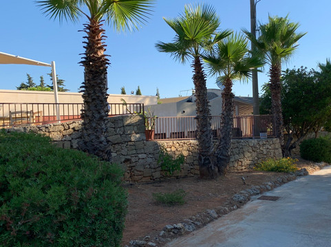 伊尔特拉佩托农家乐主图