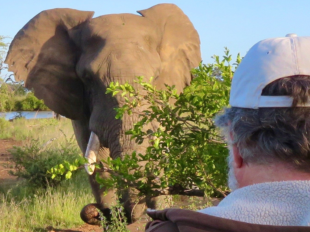Elgin Africa-Elgin必去景点