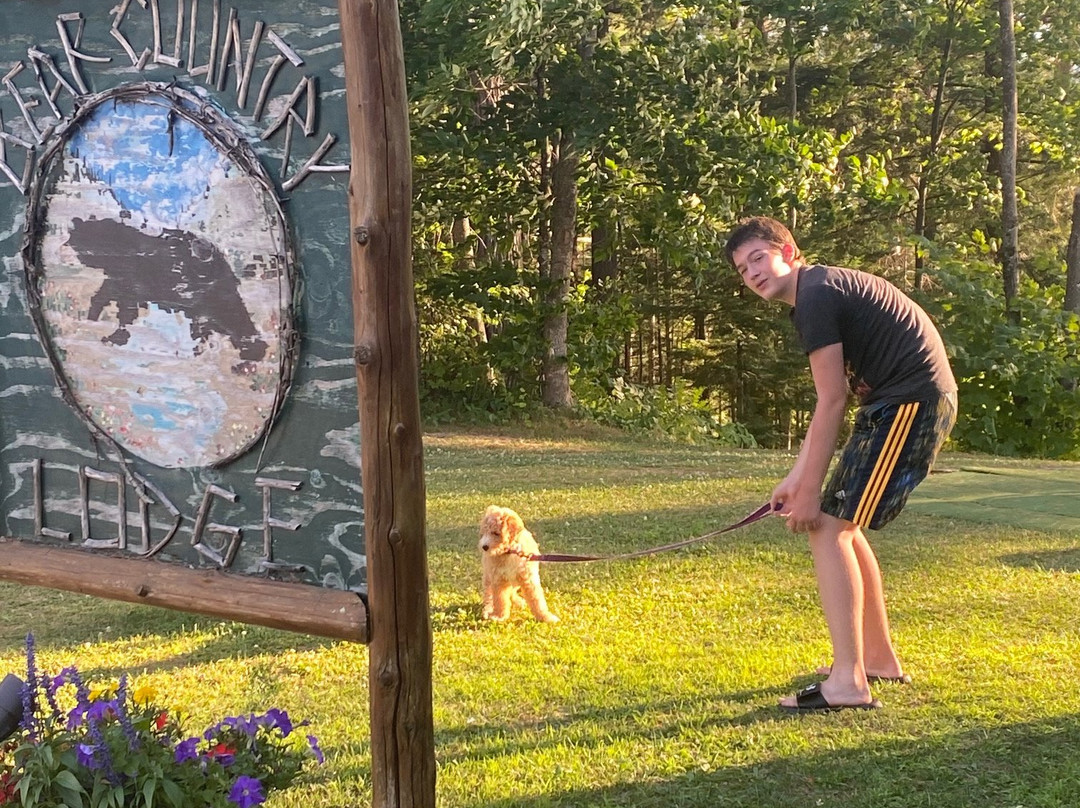 Bear Country Lodge