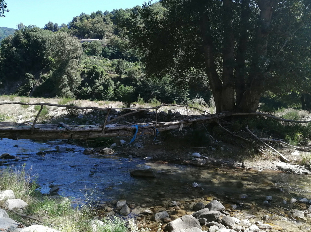 Trekking Stilaro Experience景点图片