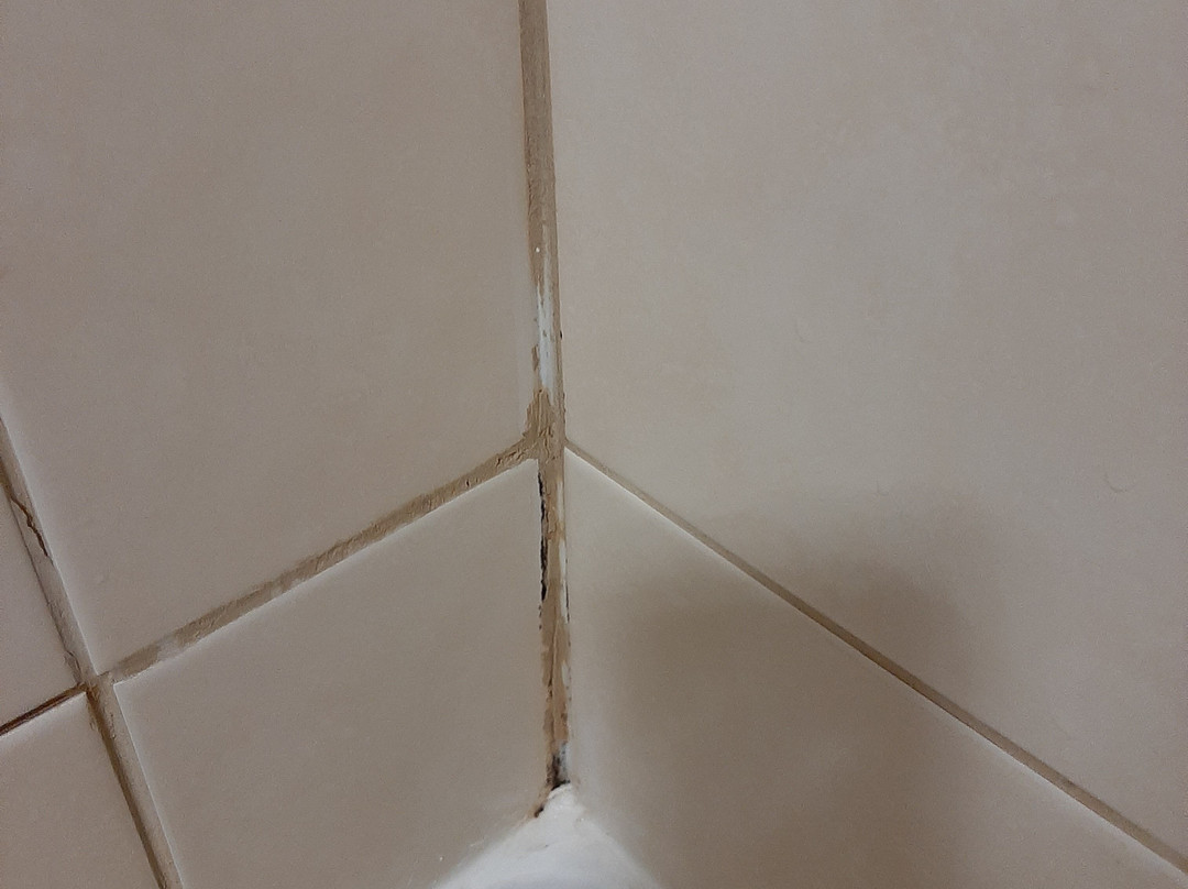 普希卡斯卡娅斯洛博达酒店主图