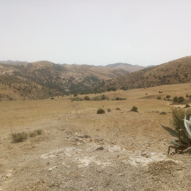 Es Senia旅游攻略图片