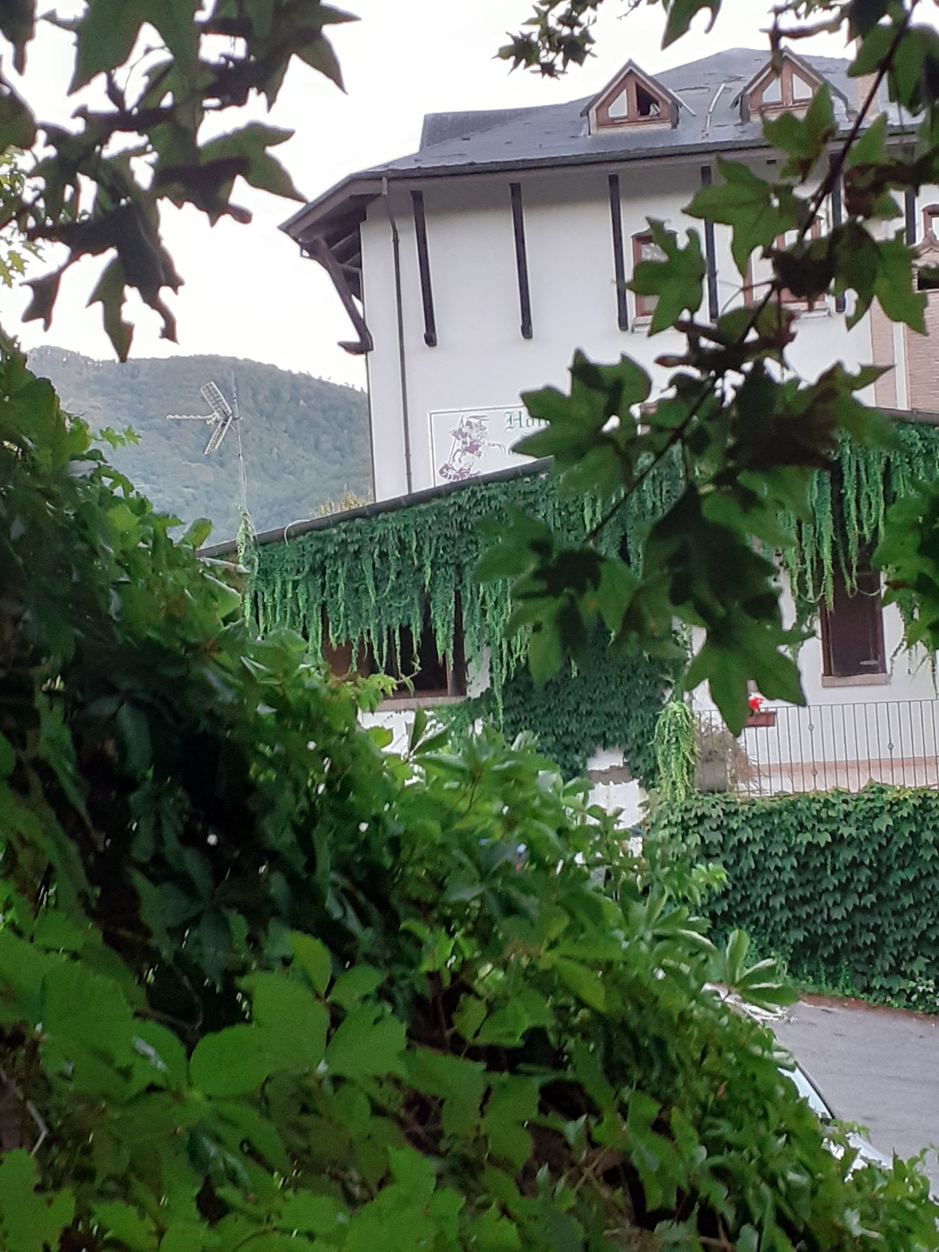 Hotel San Giorgio-官方