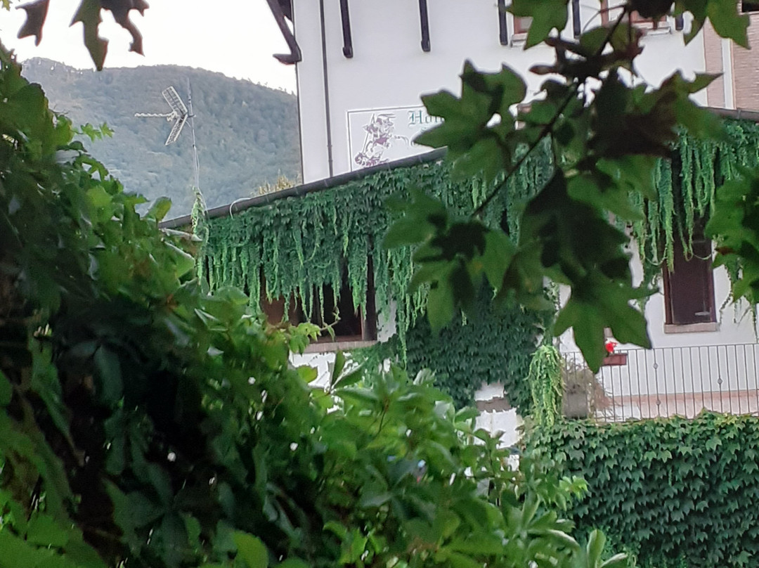 Hotel San Giorgio主图