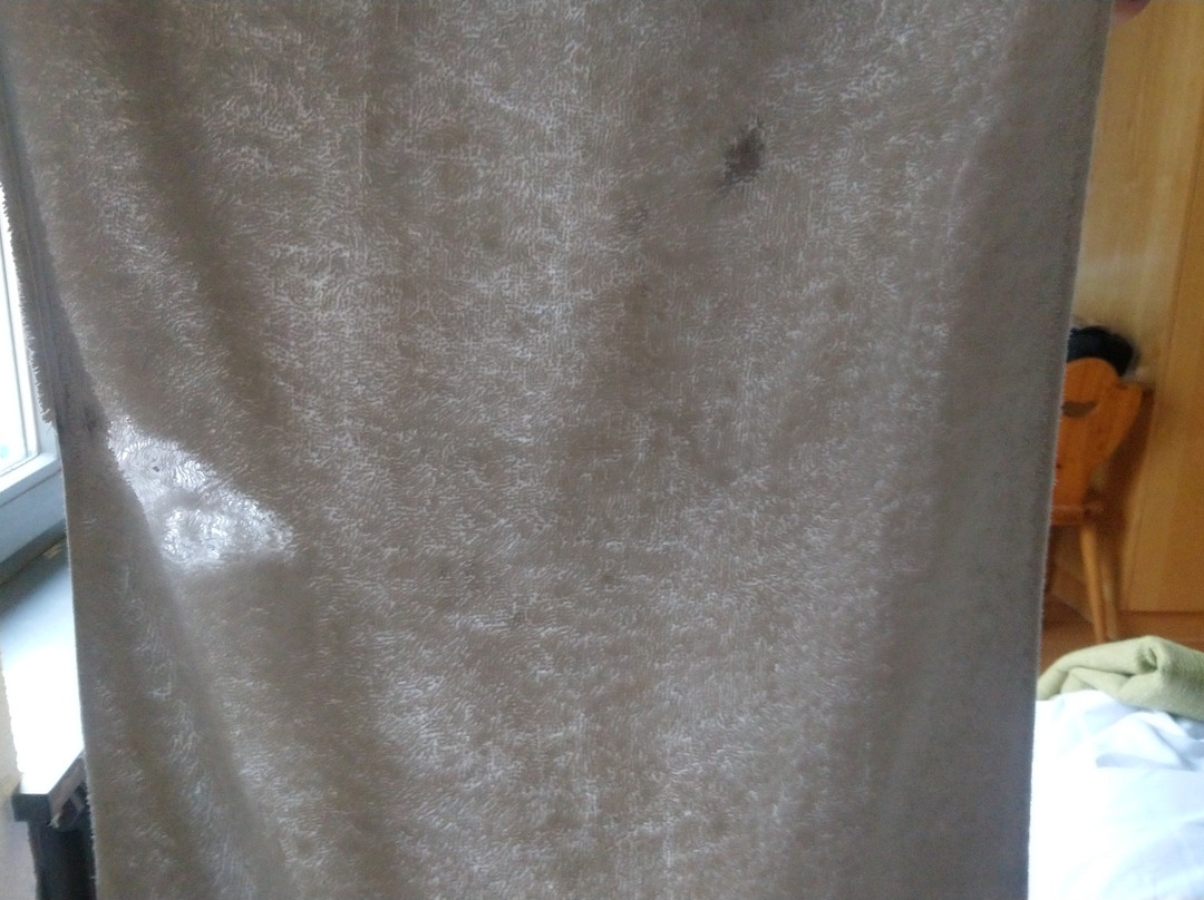 Hotel & Restaurant Grüner Baum主图