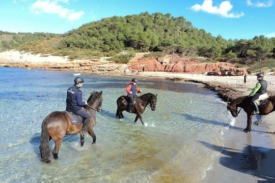 Xperience by Horse-米诺卡必去景点