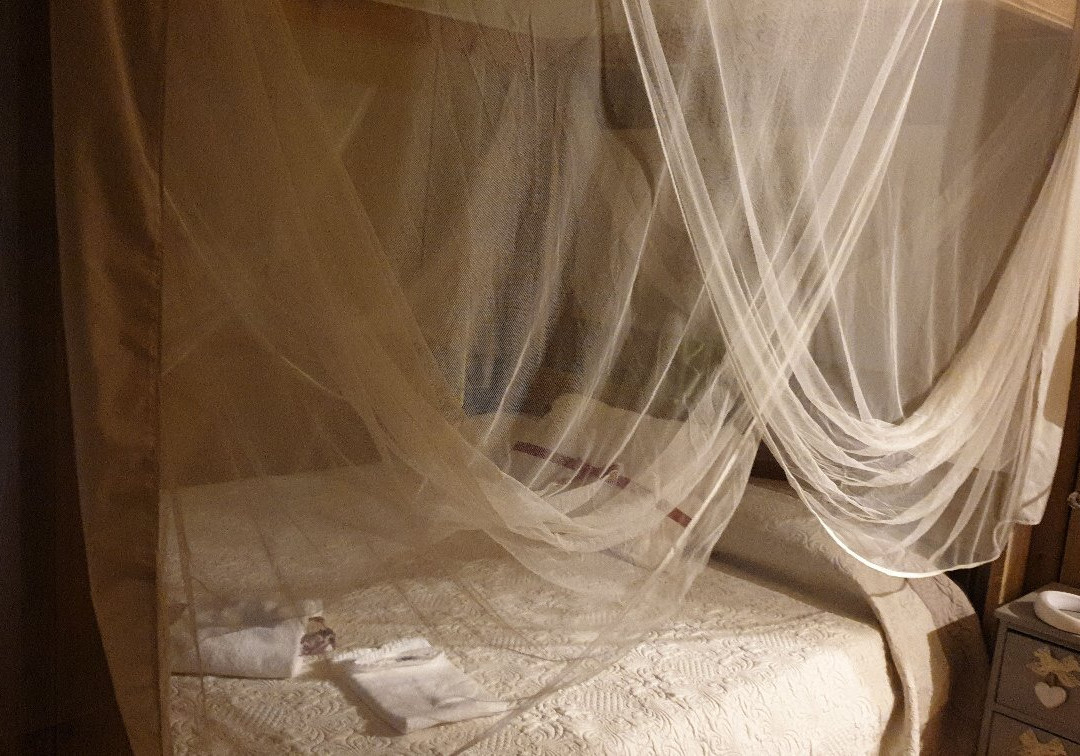 Tenuta Poggio Rosso Glamping主图