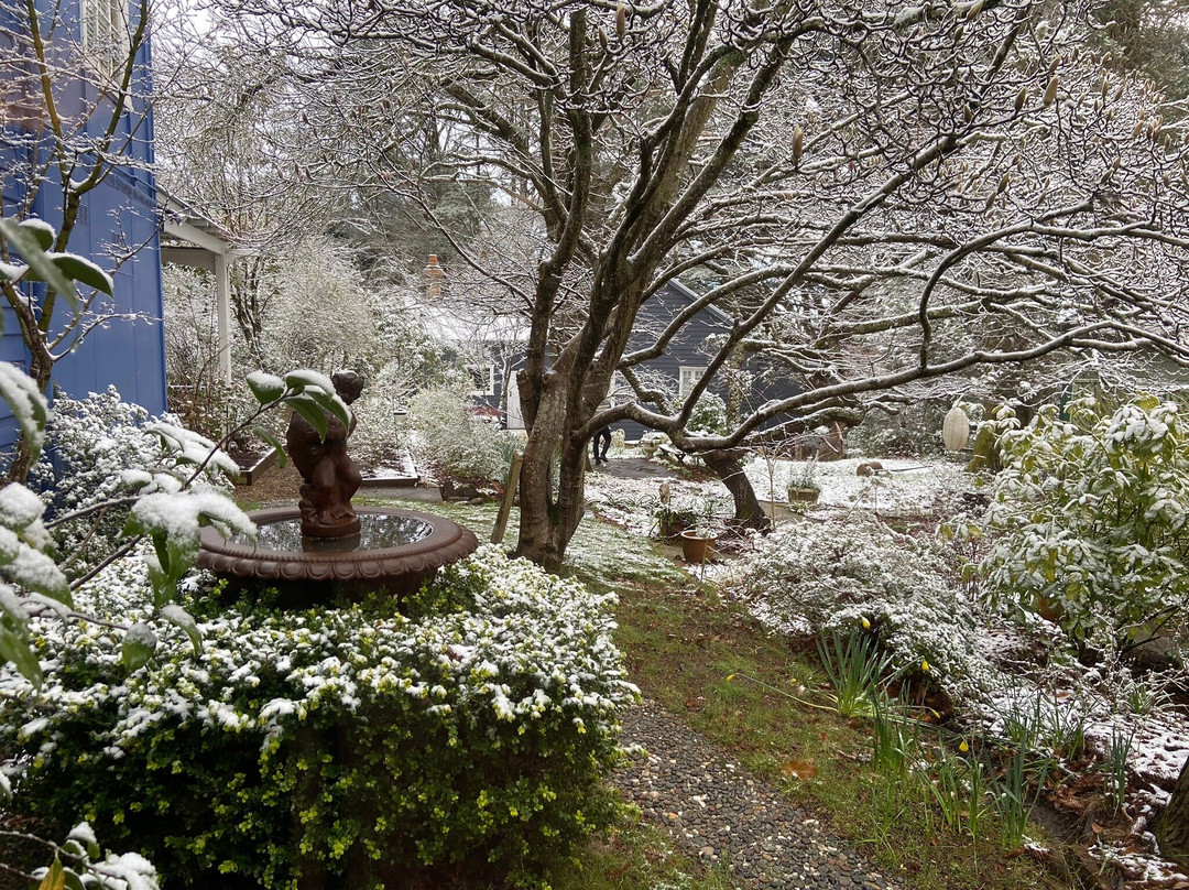 The Boutique Hotel Blue Mountains主图