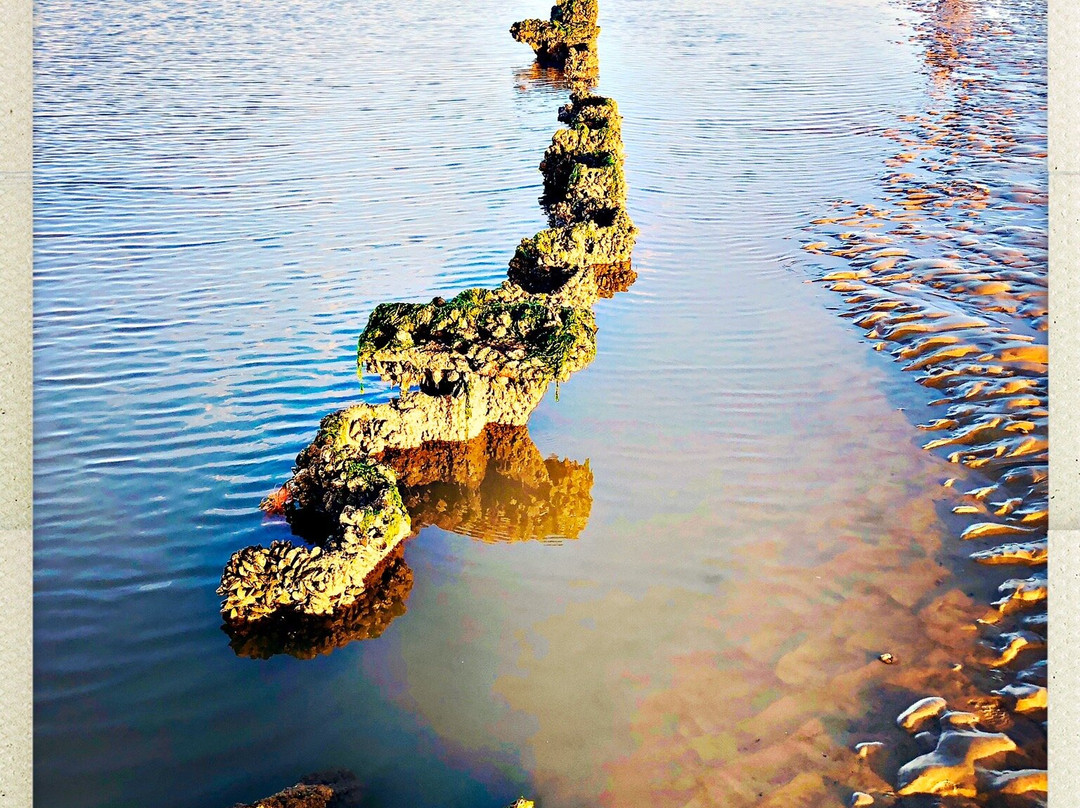 The Amsterdam Shipwreck-海斯廷斯必去景点