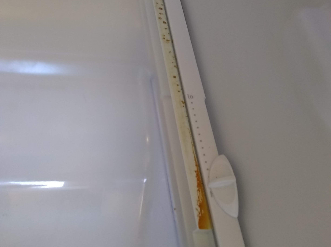 Plantation Motel主图