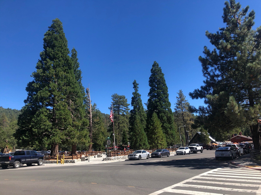 Idyllwild Park-Idyllwild必去景点
