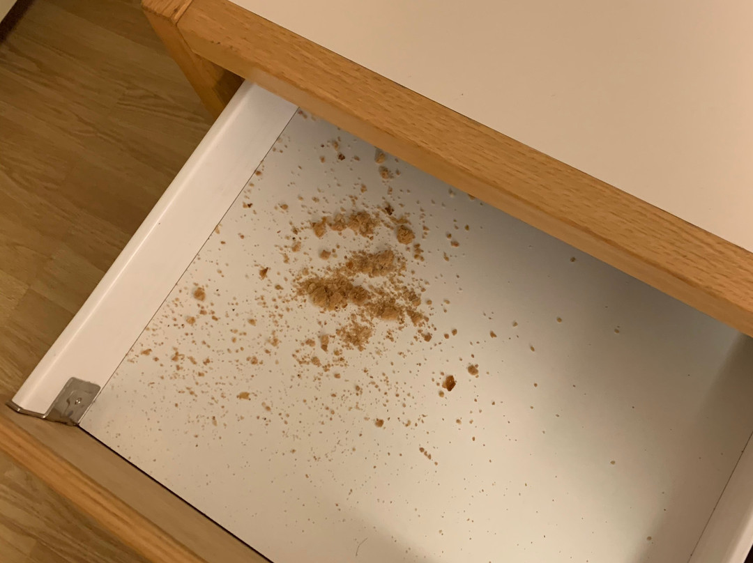 阿库雷里埃达酒店主图