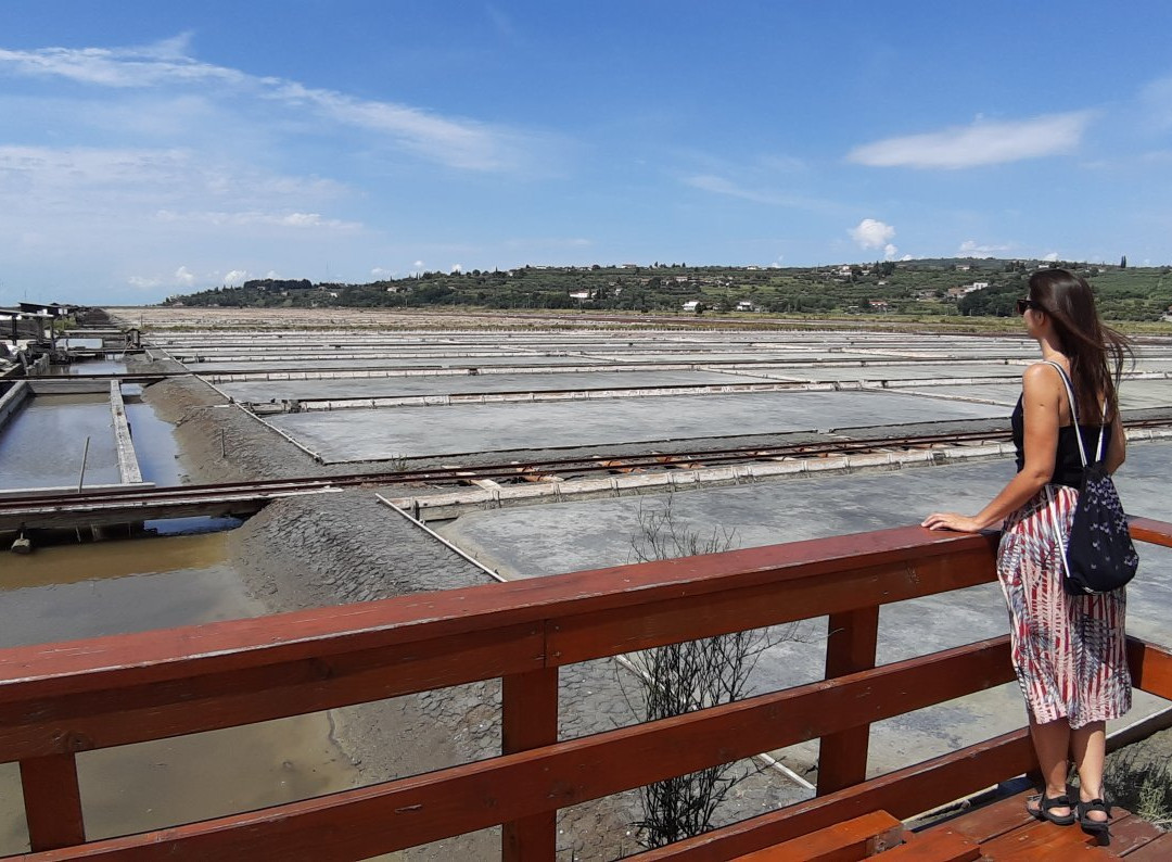 Secovlje Salina Nature Park景点图片