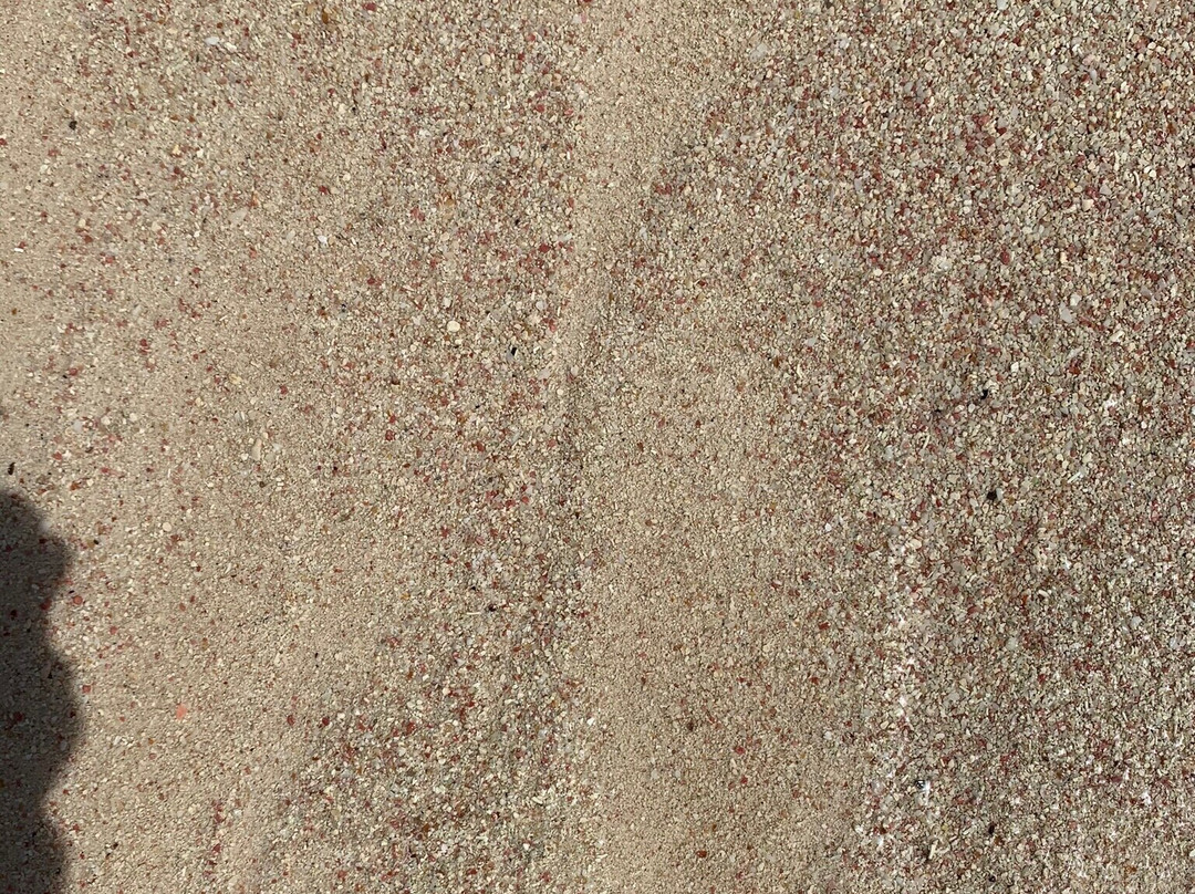 Jobson's Cove Beach-Warwick Parish必去景点