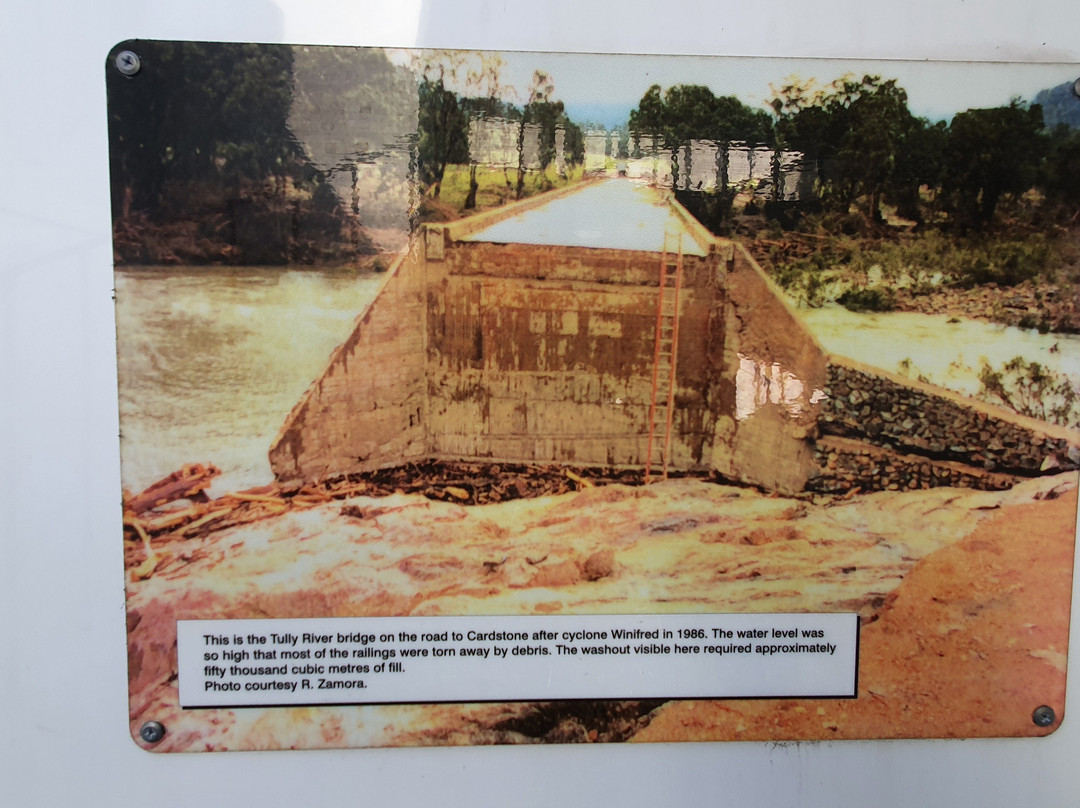 Golden Gumboot-Tully必去景点