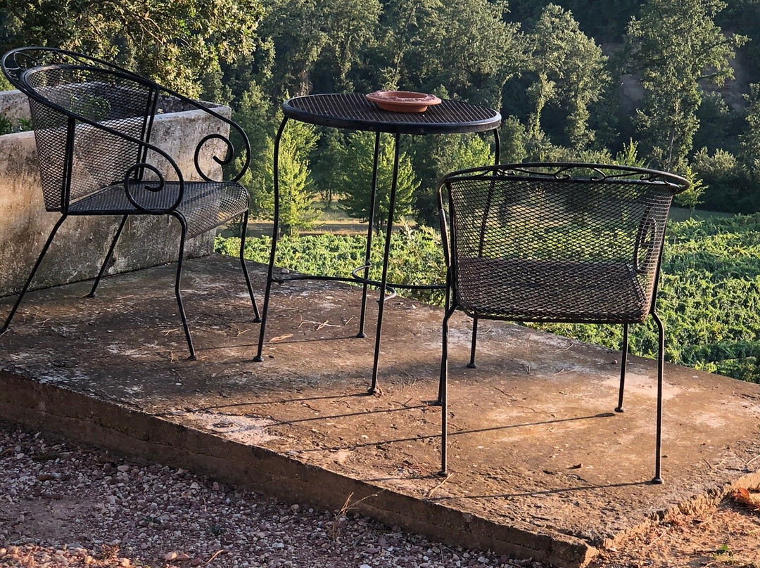 Agriturismo Le Cerque B&B主图