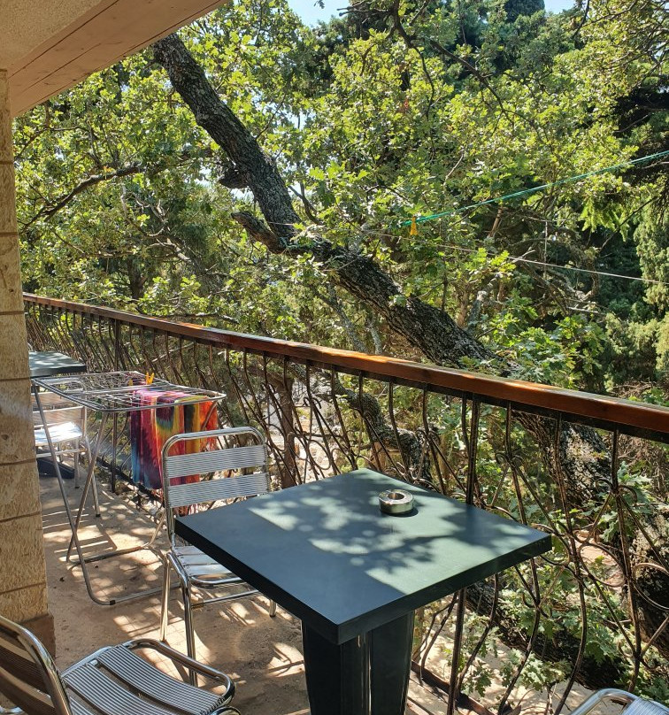 Diva Condo Hotel主图