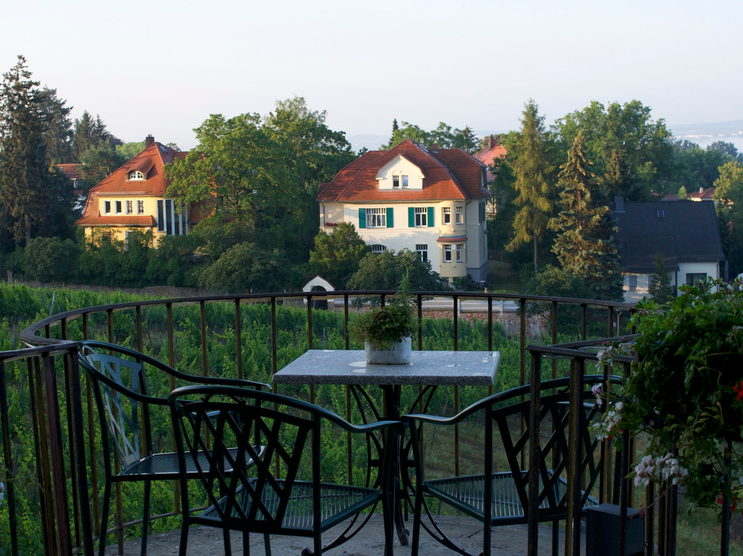 Weingut Hofloßnitz-Radebeul必去景点