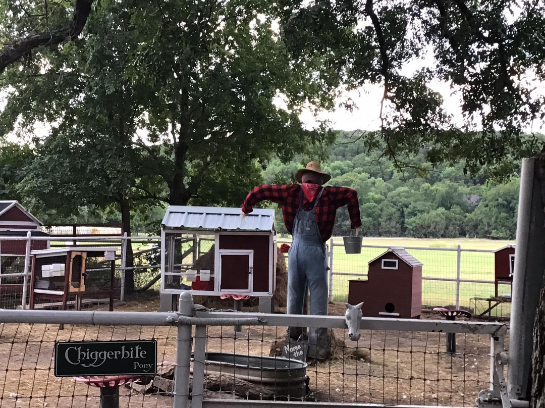 Country Woods Inn主图