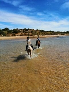 Tavira Equestrian Tourism-塔维拉必去景点