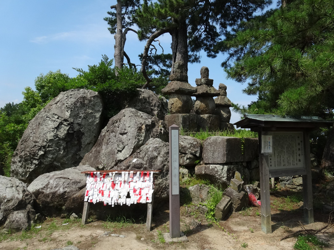 Minatoyama Park-米子市必去景点