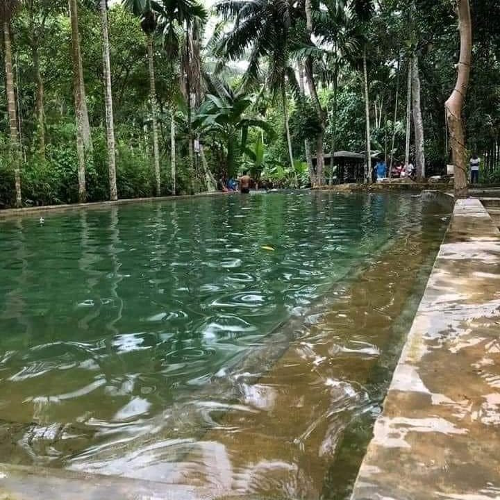 Go Ceylon Tours景点图片