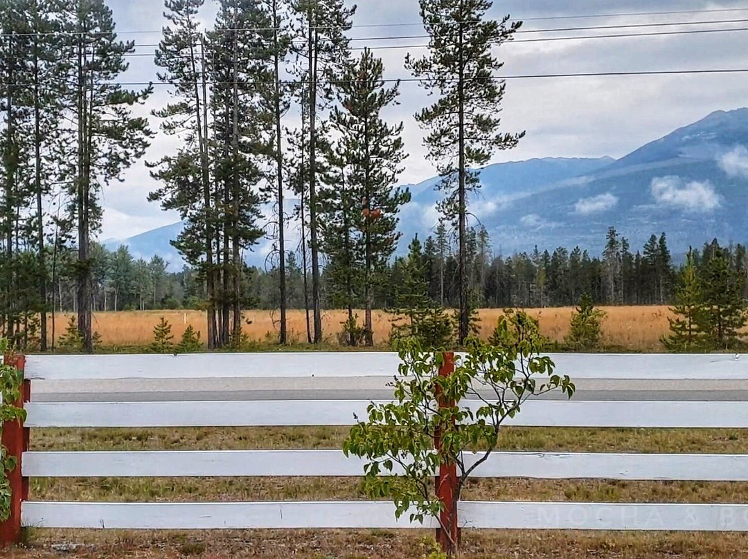 Rose Cottage Bed & Breakfast主图